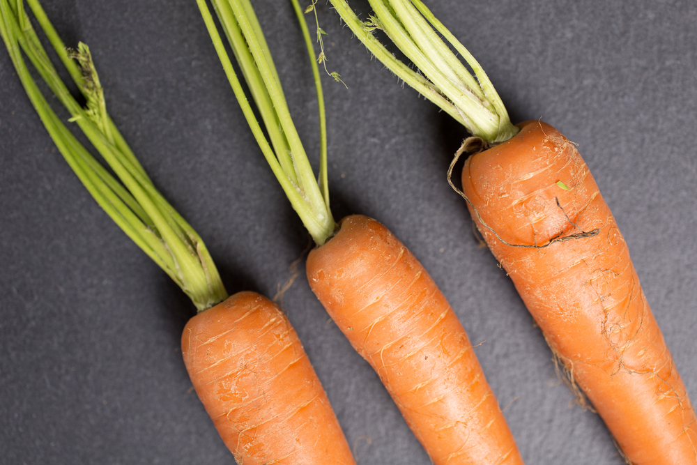 Fresh raw carrots on black slate with complete stems