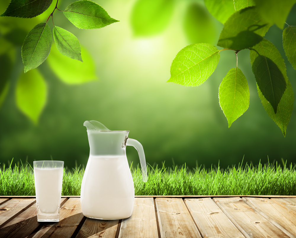 milk on table and sunny trees